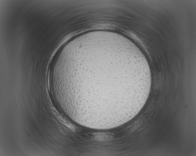 X0000083001227200702230118