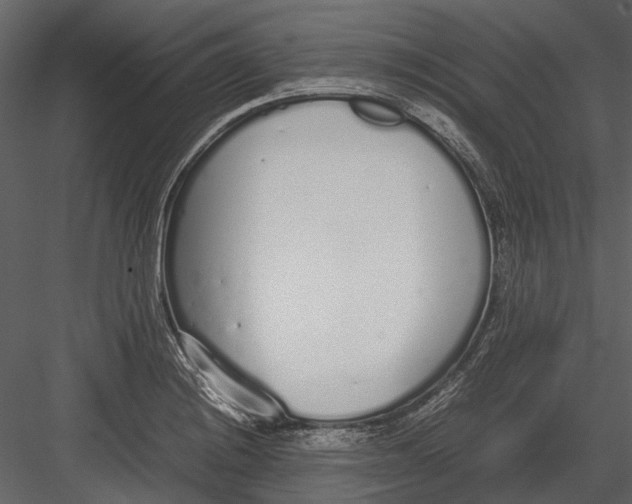 X0000083001228200702230118