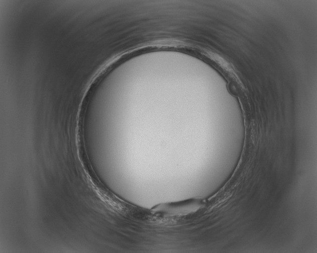 X0000083001229200702230118