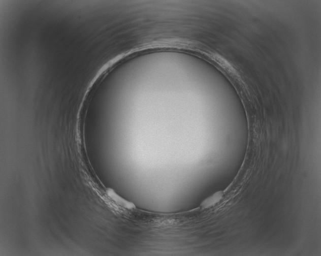 X0000083001230200702230118