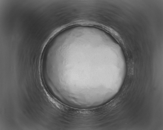 X0000083001231200702230118