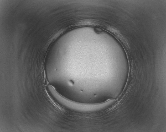 X0000083001233200702230118