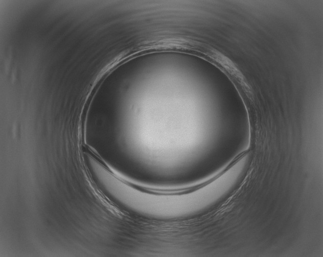 X0000083001234200702230118