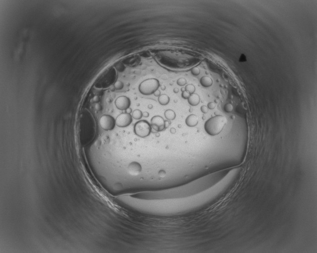 X0000083001235200702230118