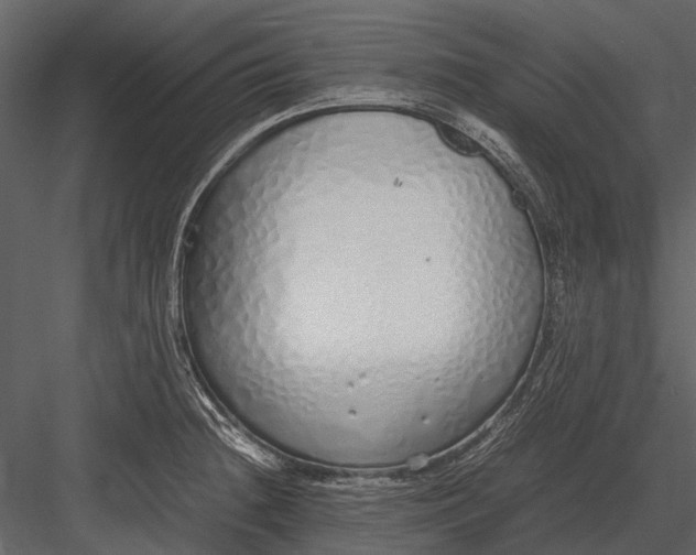 X0000083001236200702230118