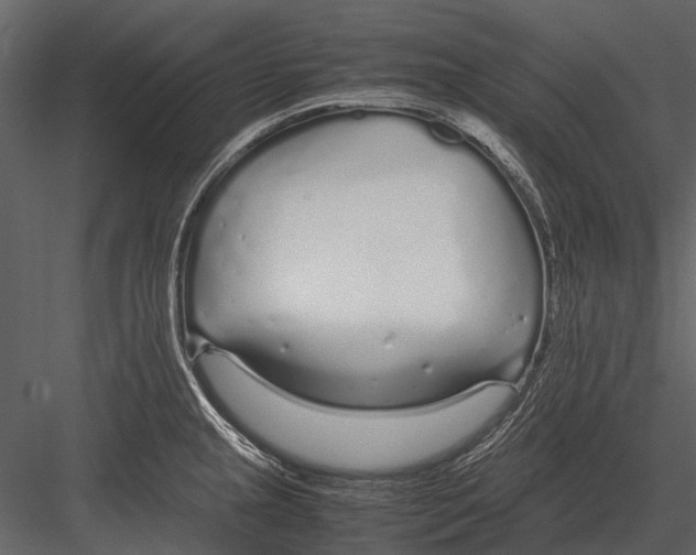 X0000083001237200702230118