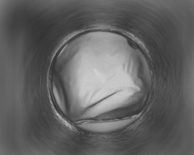 X0000083001239200702230118