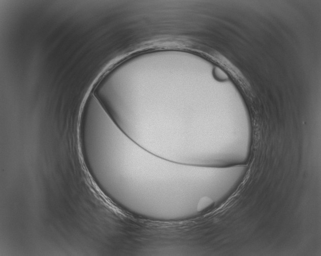 X0000083001240200702230118