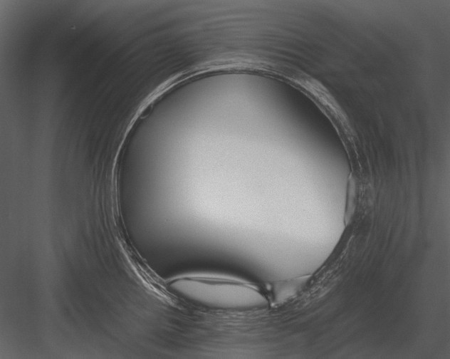 X0000083001242200702230118