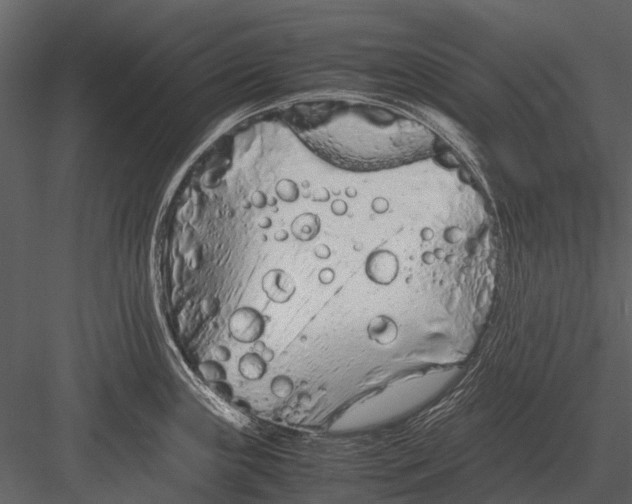 X0000083001243200702230118