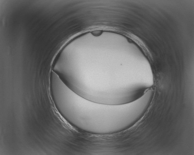 X0000083001244200702230118