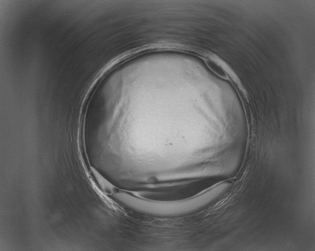 X0000083001245200702230118