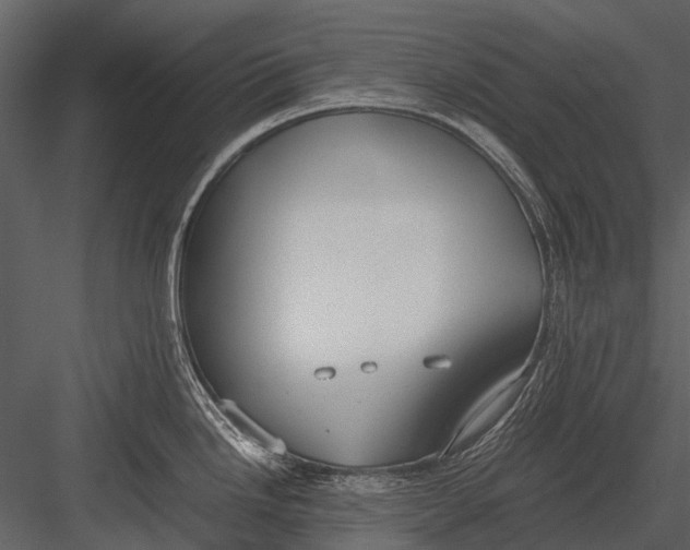 X0000083001246200702230118