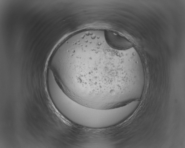 X0000083001248200702230118