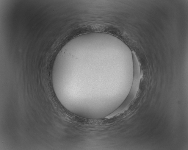 X0000083001249200702230117