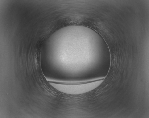 X0000083001250200702230117