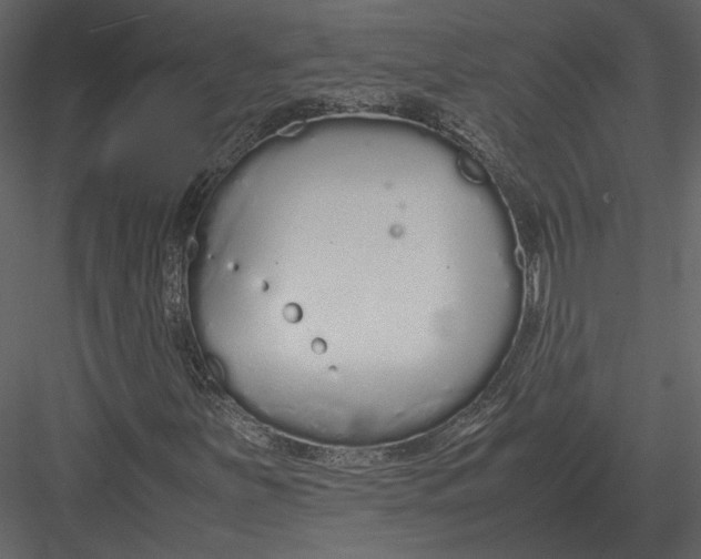 X0000083001251200702230117