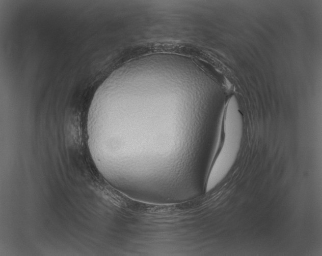 X0000083001252200702230117