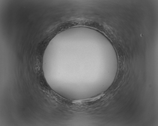 X0000083001253200702230117