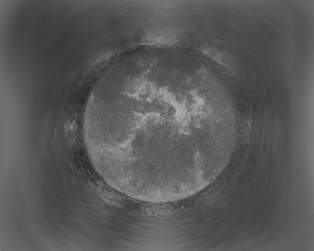 X0000083001254200702230117