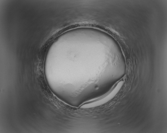 X0000083001255200702230117