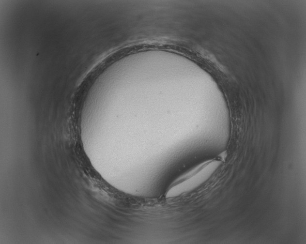 X0000083001256200702230117