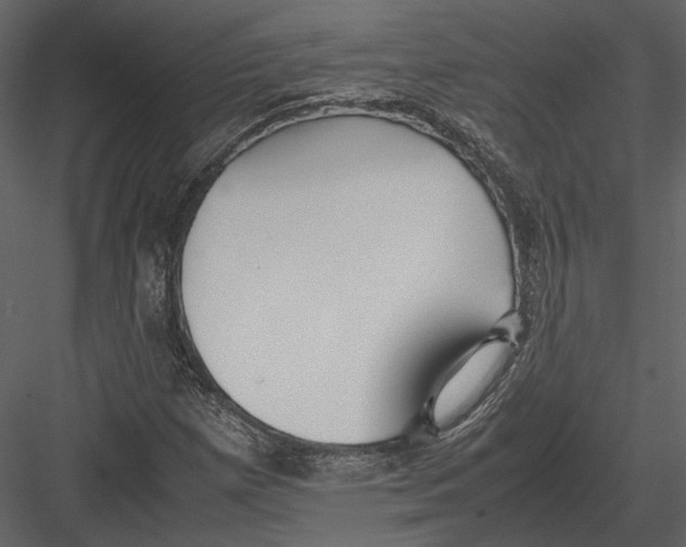 X0000083001257200702230117