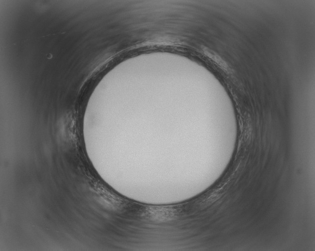 X0000083001258200702230117