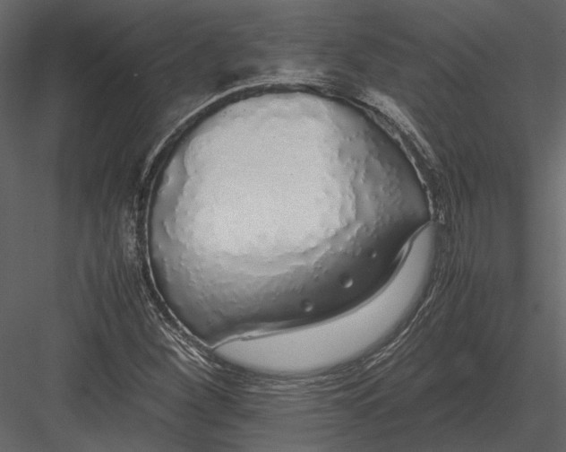 X0000083001260200702230117