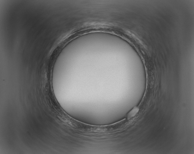 X0000083001261200702230117