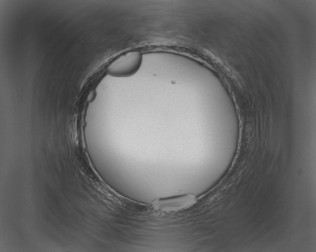 X0000083001262200702230117