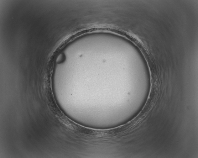 X0000083001263200702230117