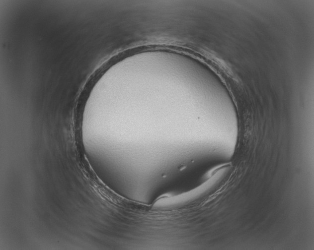 X0000083001264200702230117