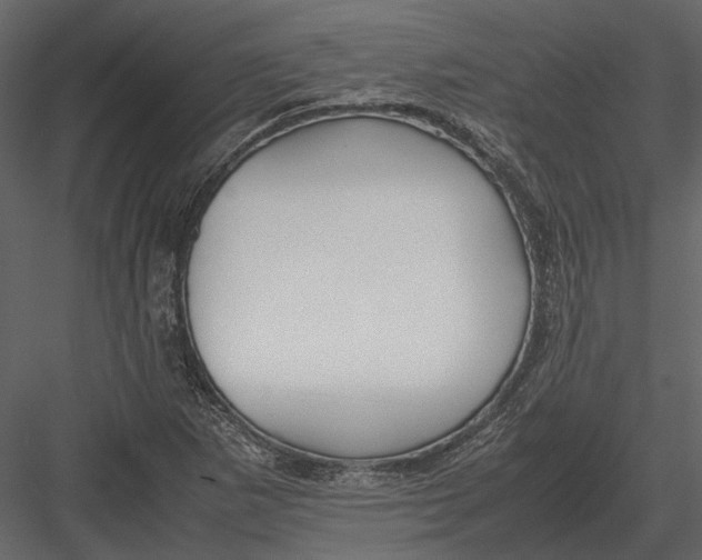 X0000083001265200702230117