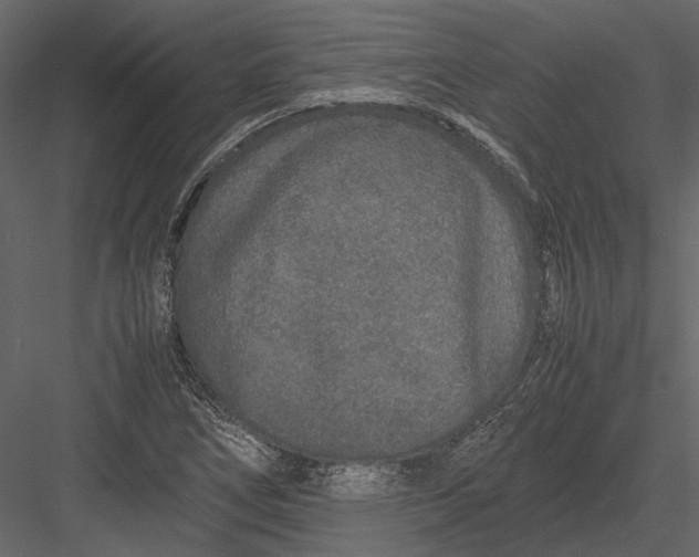 X0000083001266200702230117