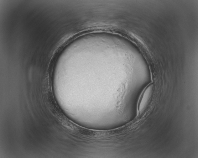 X0000083001267200702230117