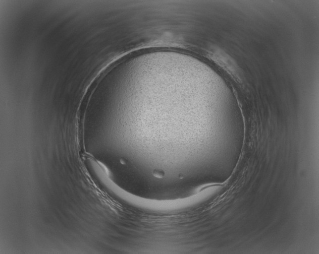 X0000083001268200702230117