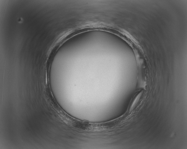 X0000083001269200702230117