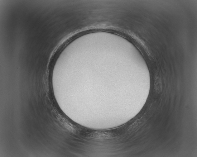 X0000083001270200702230117