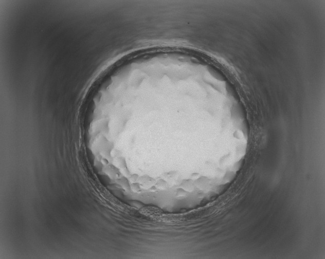 X0000083001271200702230117