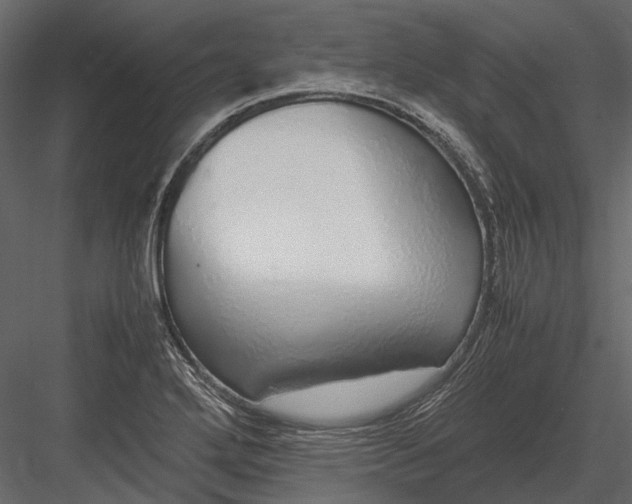 X0000083001272200702230117