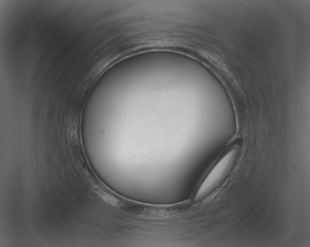 X0000083001273200702230117