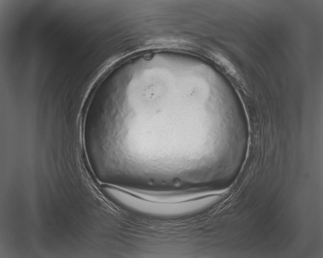 X0000083001275200702230117