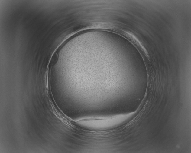 X0000083001276200702230117