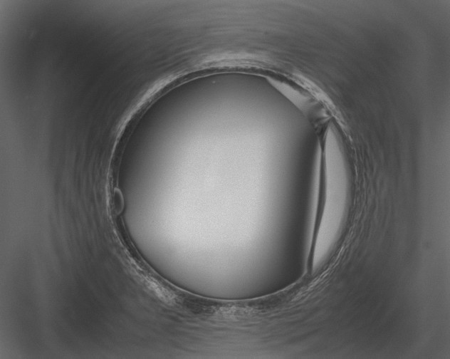 X0000083001277200702230117