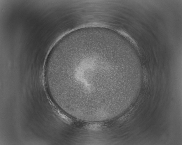 X0000083001278200702230117