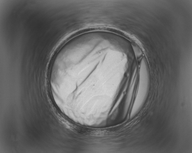 X0000083001279200702230117