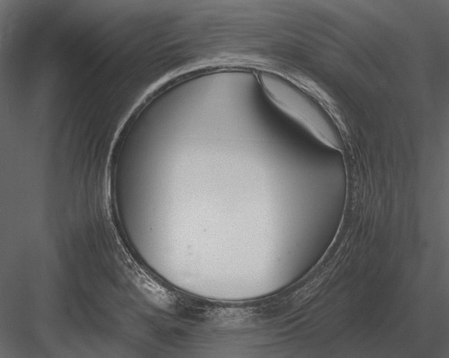 X0000083001280200702230117