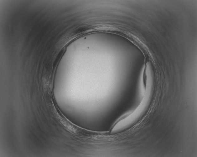 X0000083001281200702230117