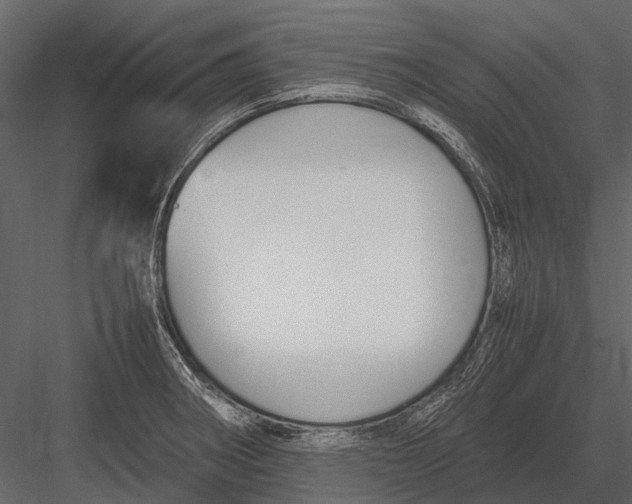 X0000083001282200702230117